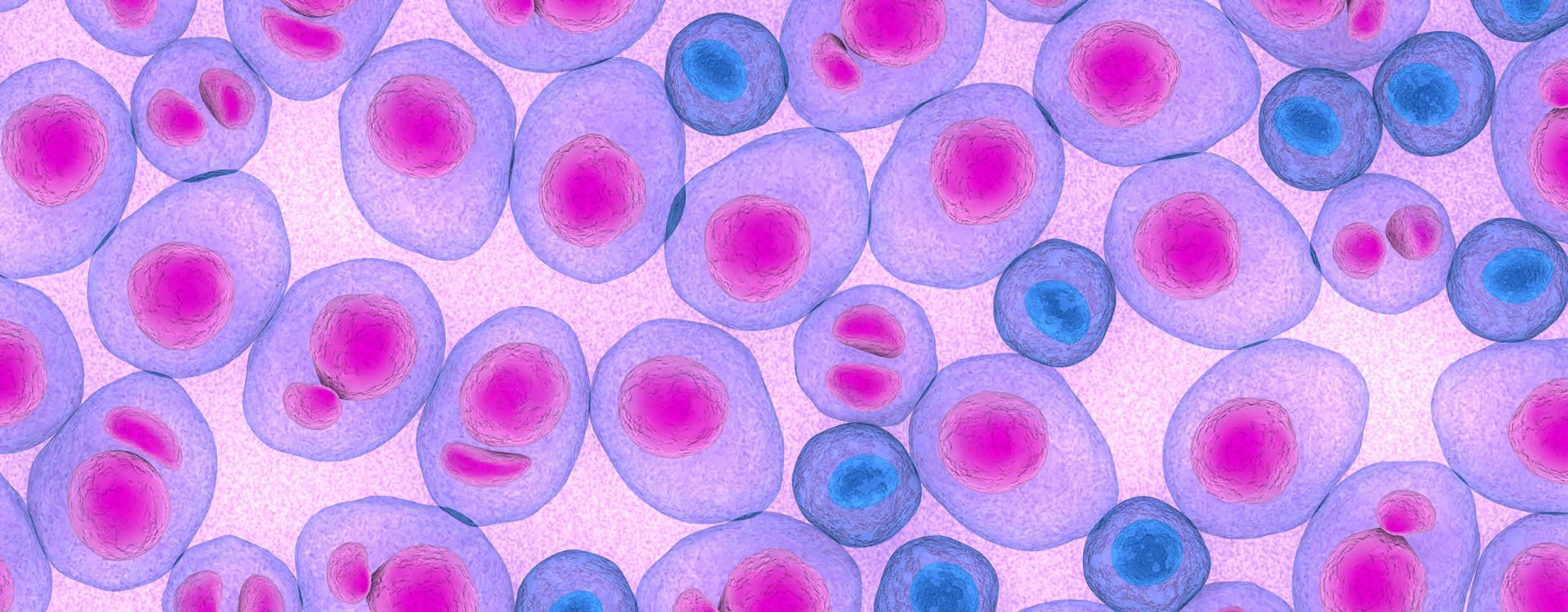 Can Cord Blood Stem Cells Cure Leukemia? Article Image