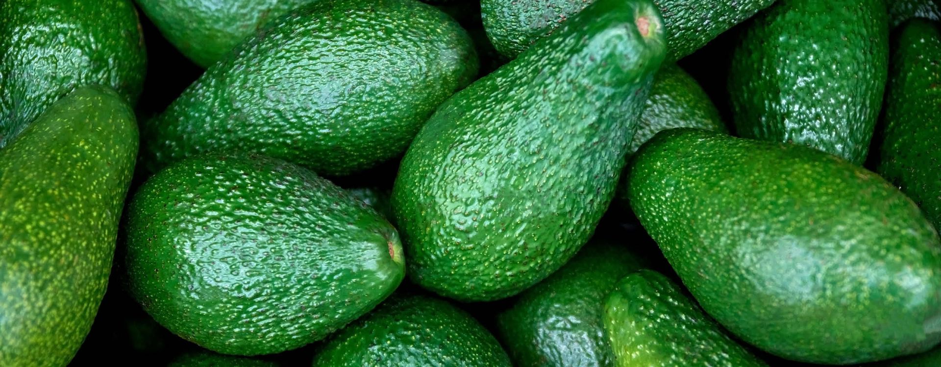 Can You Eat Avocado While Pregnant? (Yes–Here's Why) Article Image
