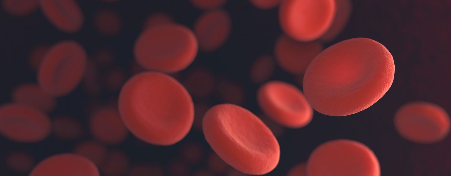 Harnessing the Power of Cord Blood for Treating Anemia Article Image