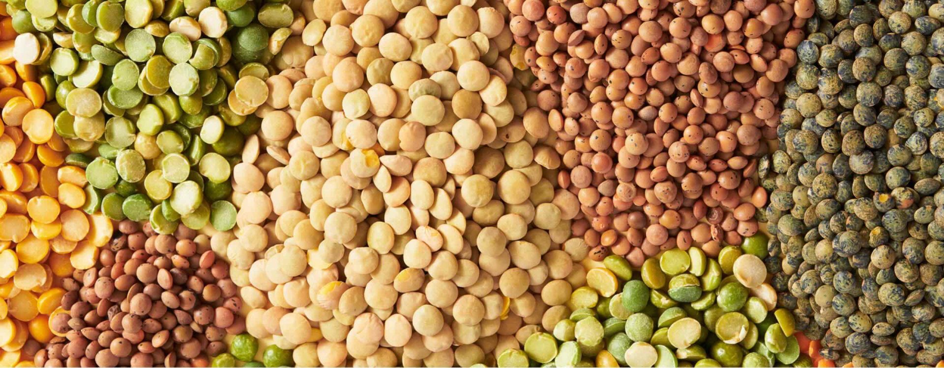 High Fiber Foods for Constipation During Pregnancy Article Image