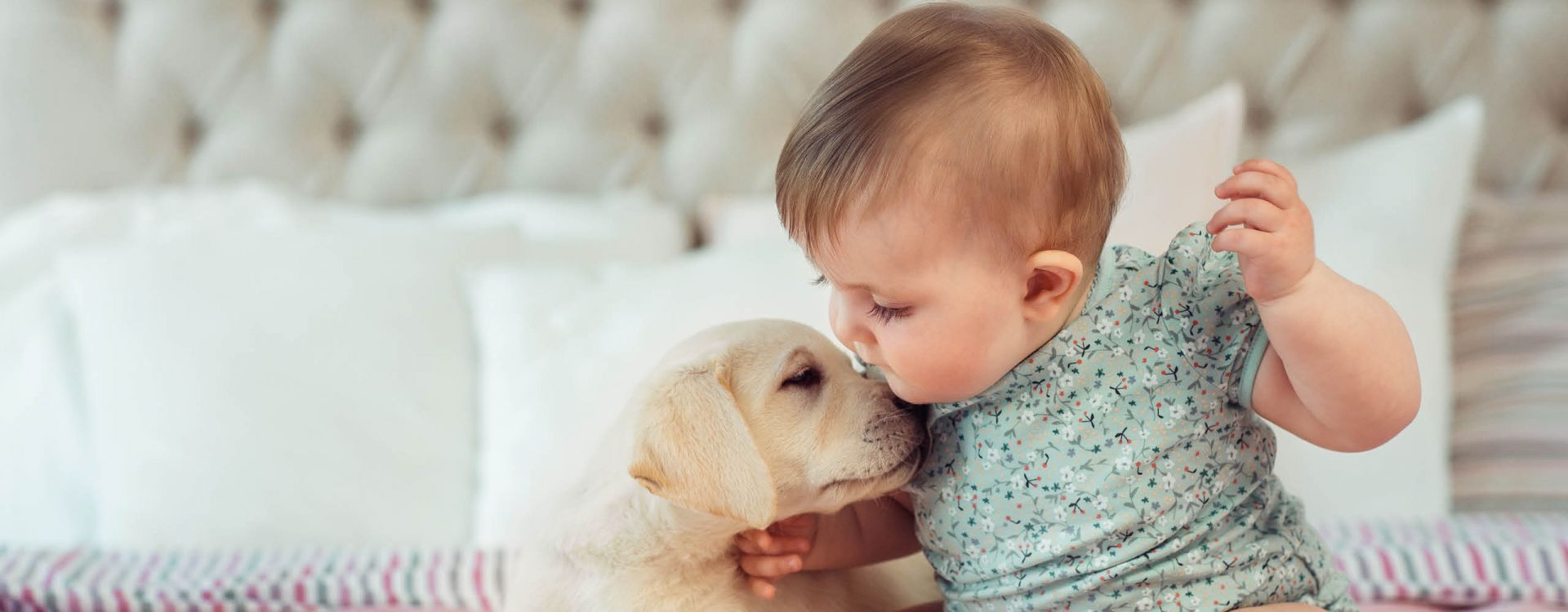 How to Introduce Dog to Baby: Ensuring Safety & Harmony Article Image
