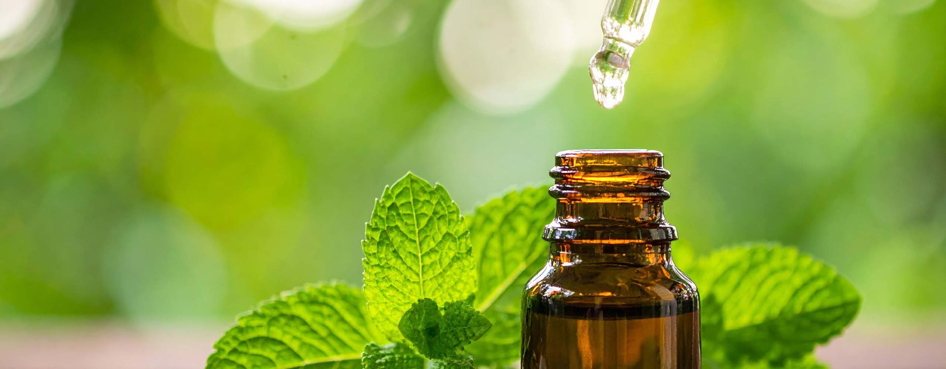 Is Peppermint Oil Safe During Pregnancy? Article Image